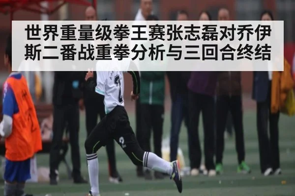 世界重量级拳王赛张志磊对乔伊斯二番战重拳分析与三回合终结